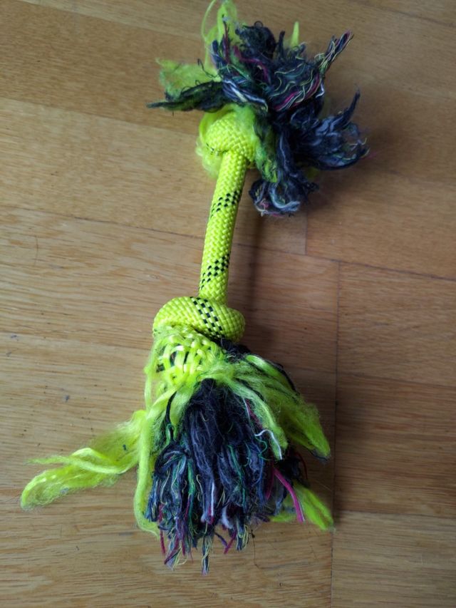 Lote juguetes para gatos + 2 comederos