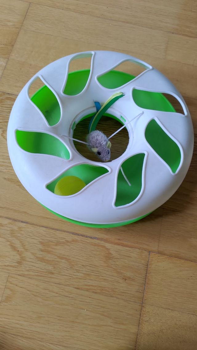 Lote juguetes para gatos + 2 comederos