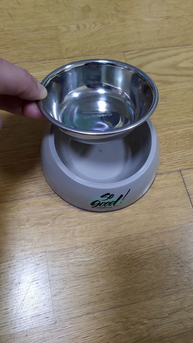 Lote juguetes para gatos + 2 comederos