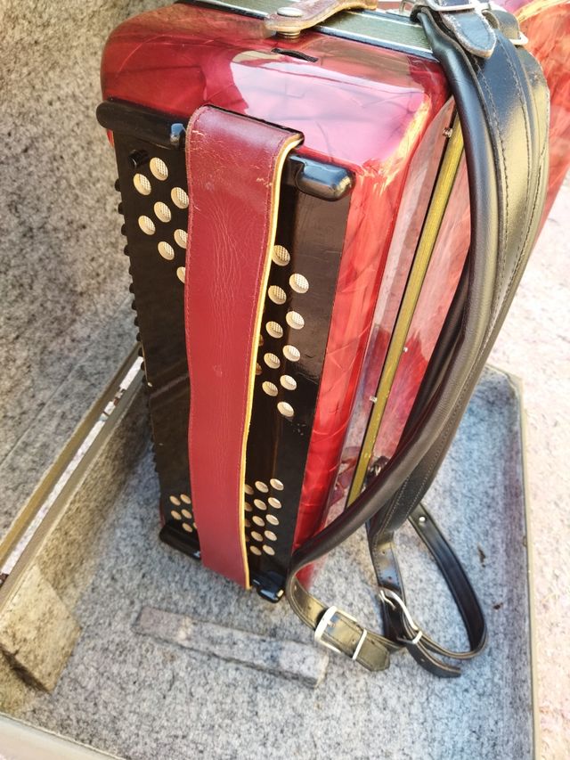 Hohner Verdi III M