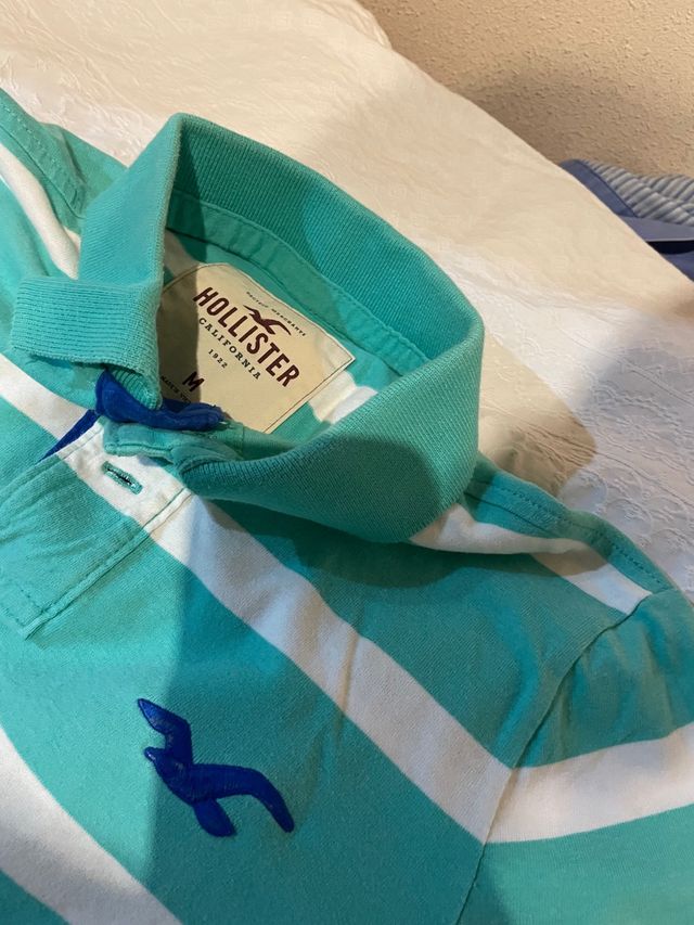 Polo Hollister