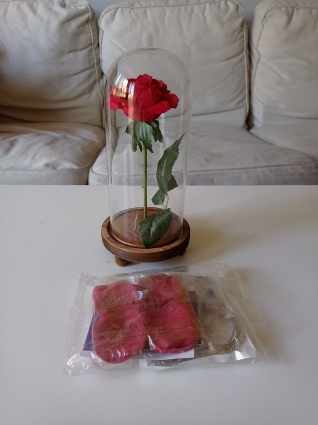 Cúpula rosa eterna nueva