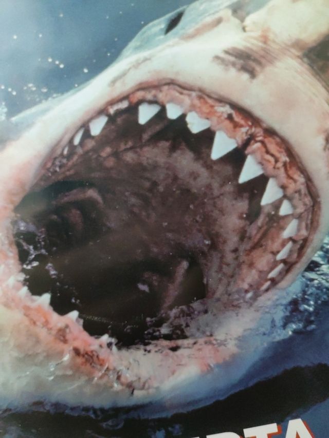 ALERTA TIBURONES - DVD NATIONAL GEOGRAPHIC 