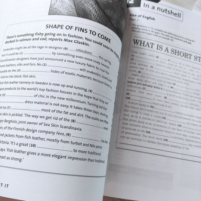 Cambridge objective cae workbook