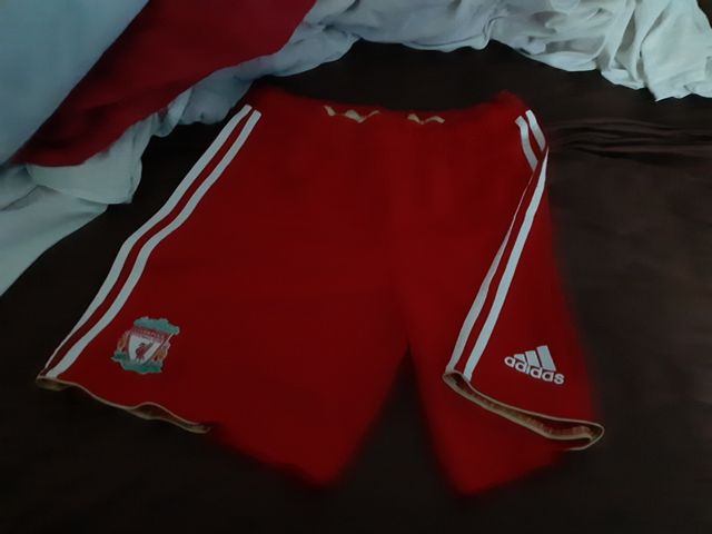 Liverpool 2010-11