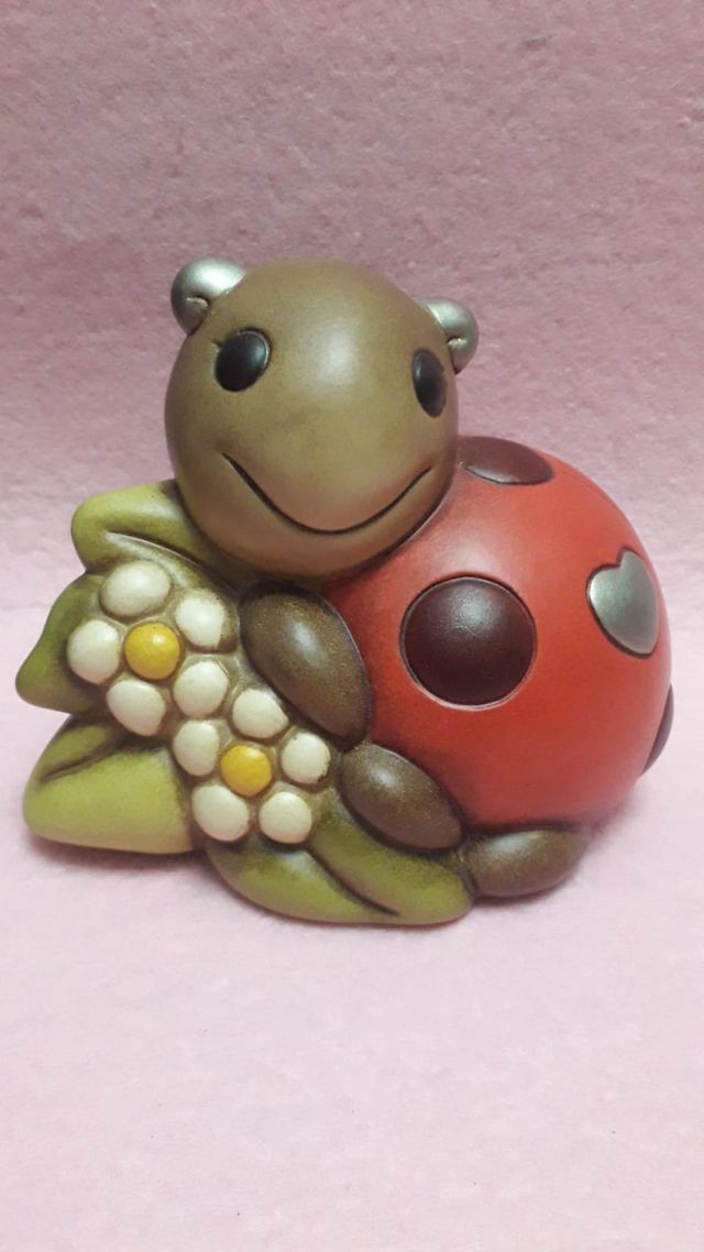 Coccinella media thun