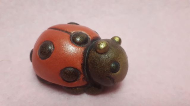 Coccinella piccola thun