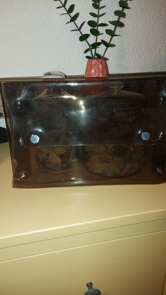 Bolso de mano transparente MANGO