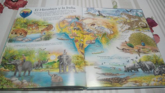 Lote de cuatro libros Infantiles y Juveniles