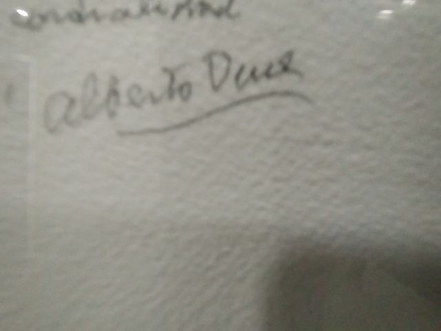 Joterros al lado del puente piedra.