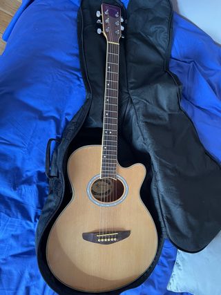 Guitarra y funda Rochester cuerdas nuevas de segunda mano por 110 EUR en  Madrid en WALLAPOP