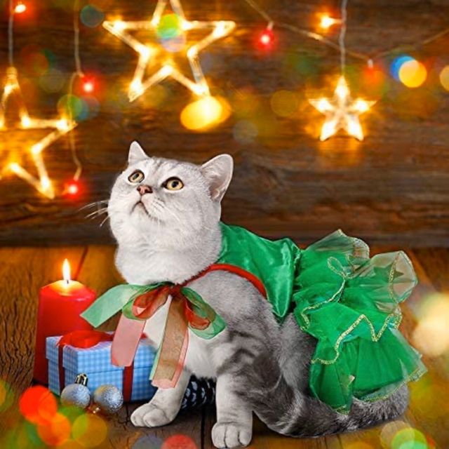 Ropa de Navidad para Gatos
