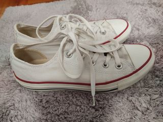 converse blancas 36.5