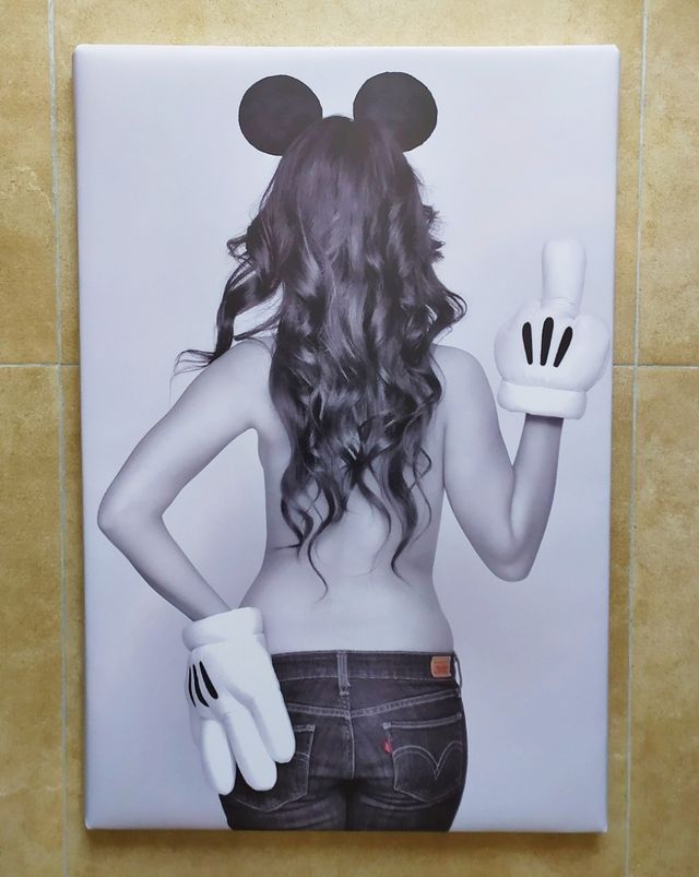 Cuadros DIVERTIDOS de DECORACIÓN a elegir