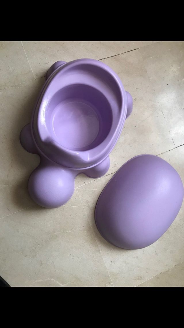 Orinal con forma de tortuga