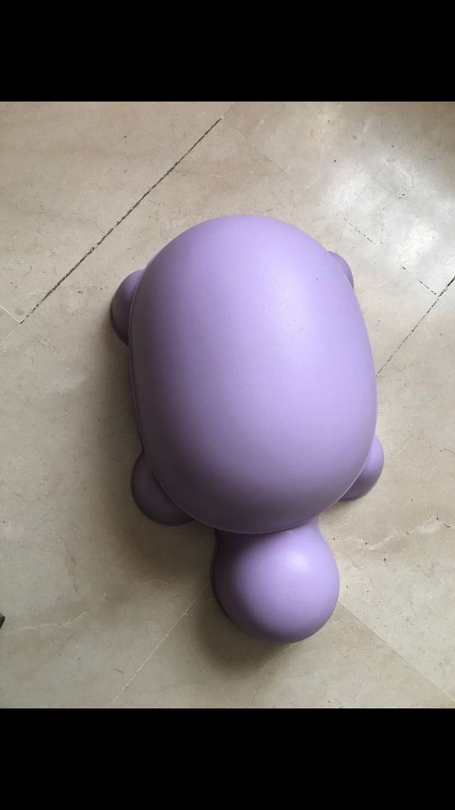 Orinal con forma de tortuga