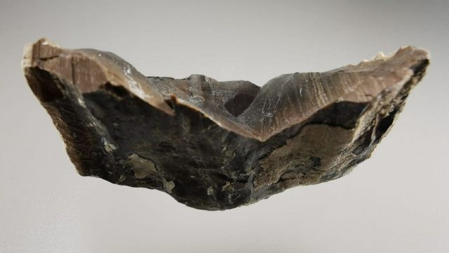 Minerali - Silexsite