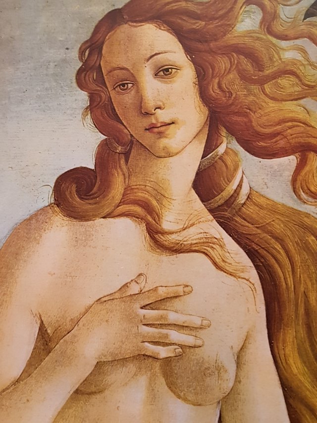 libro El rostro humano en el arte