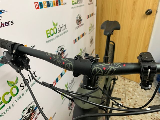 Pegatinas trek rail 5