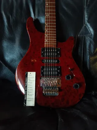 Washburn bt6 gbl maverick series Floyd rose pro