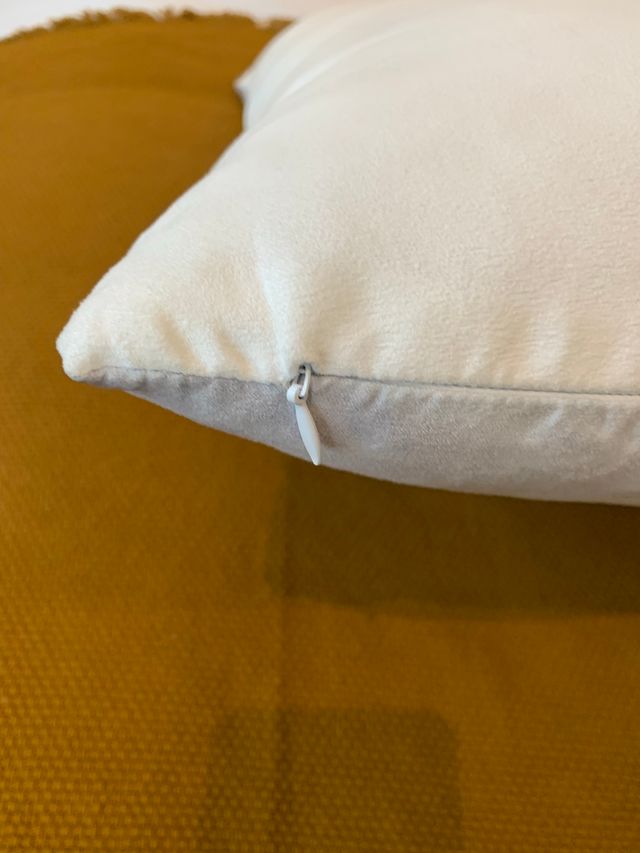 2 Cojines : cabra de las montañas