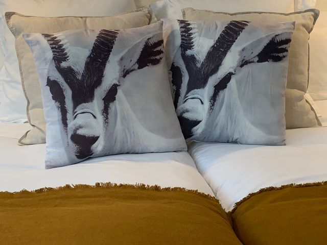 2 Cojines : cabra de las montañas