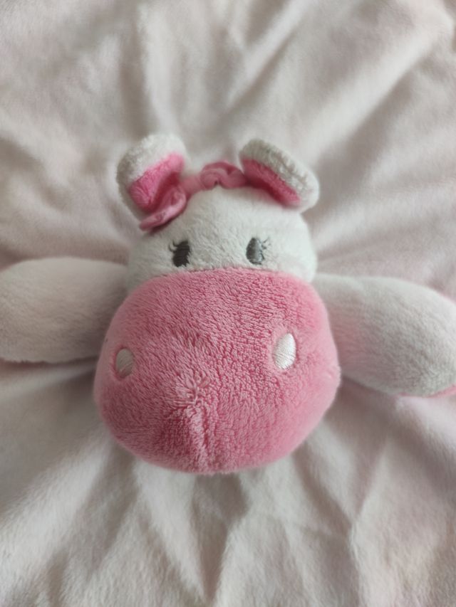 Trapito bebé peluche
