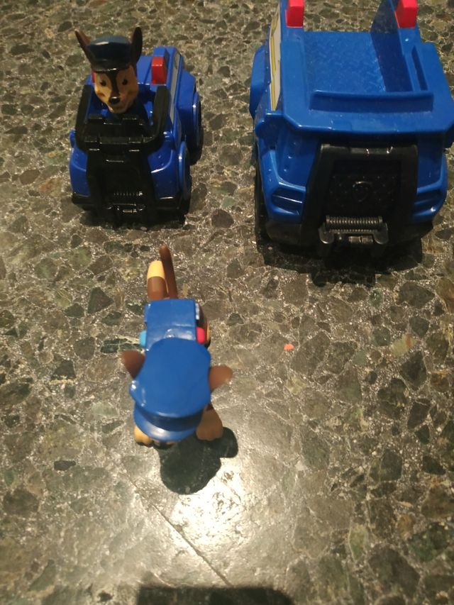 Coches patrulla canina