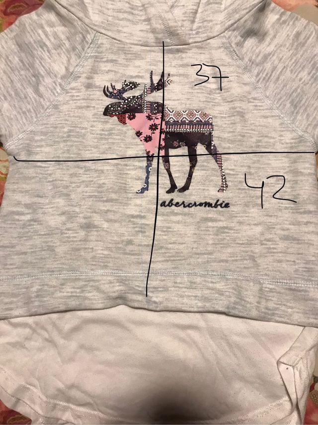 Sudadera Abercrombie