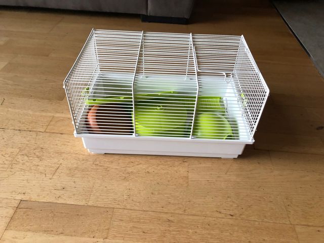 Jaula hamster