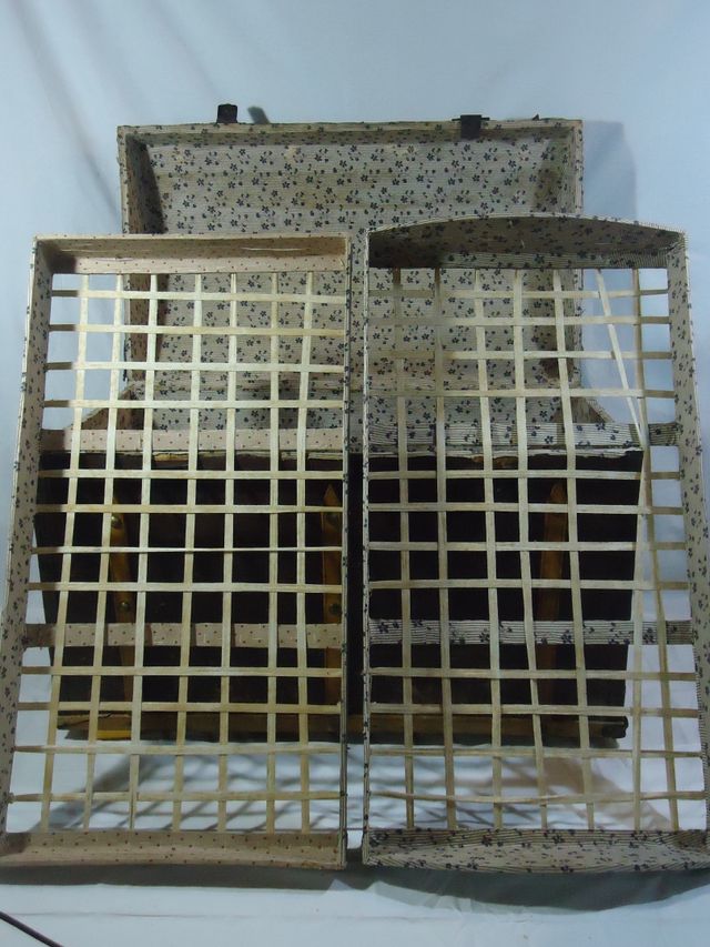 OFERTA Baúl / Mundo antiguo