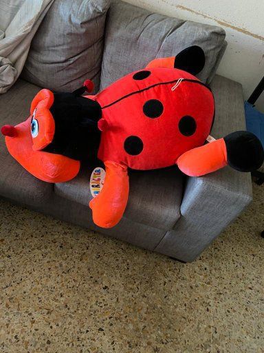 Mariquita Gigante (98 Centímetros)