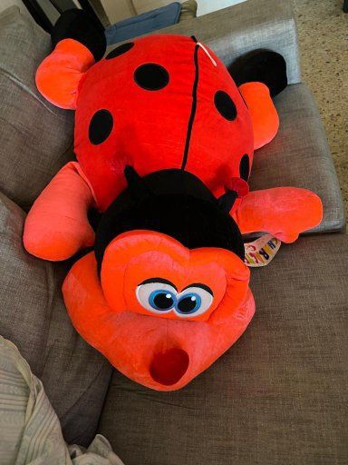 Mariquita Gigante (98 Centímetros)