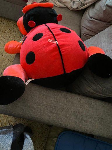 Mariquita Gigante (98 Centímetros)