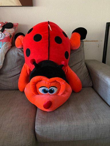 Mariquita Gigante (98 Centímetros)