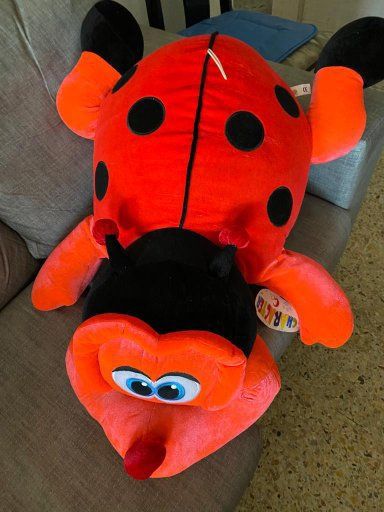 Mariquita Gigante (98 Centímetros)