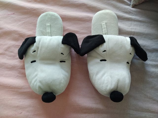 Zapatillas de estar por casa