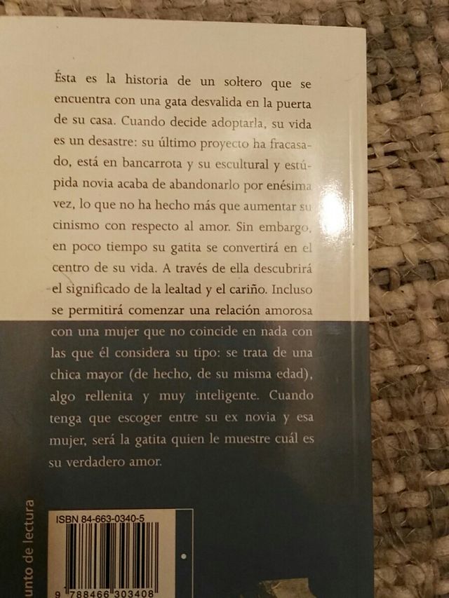 Libros. La gata del soltero. 