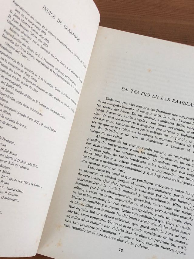 El Gran Teatro del Liceo de Juan Mestres Calvet