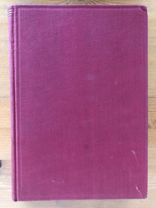 El Gran Teatro del Liceo de Juan Mestres Calvet