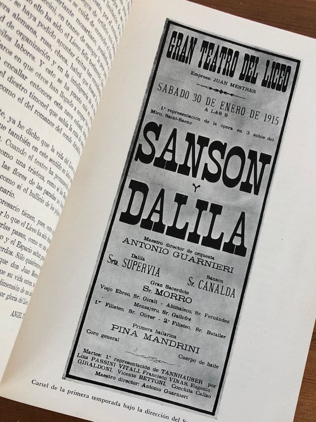 El Gran Teatro del Liceo de Juan Mestres Calvet