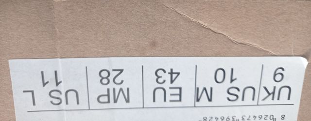 patines línea  fila