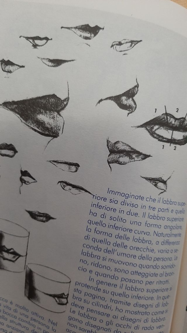 🟡 Manuale del disegnatore