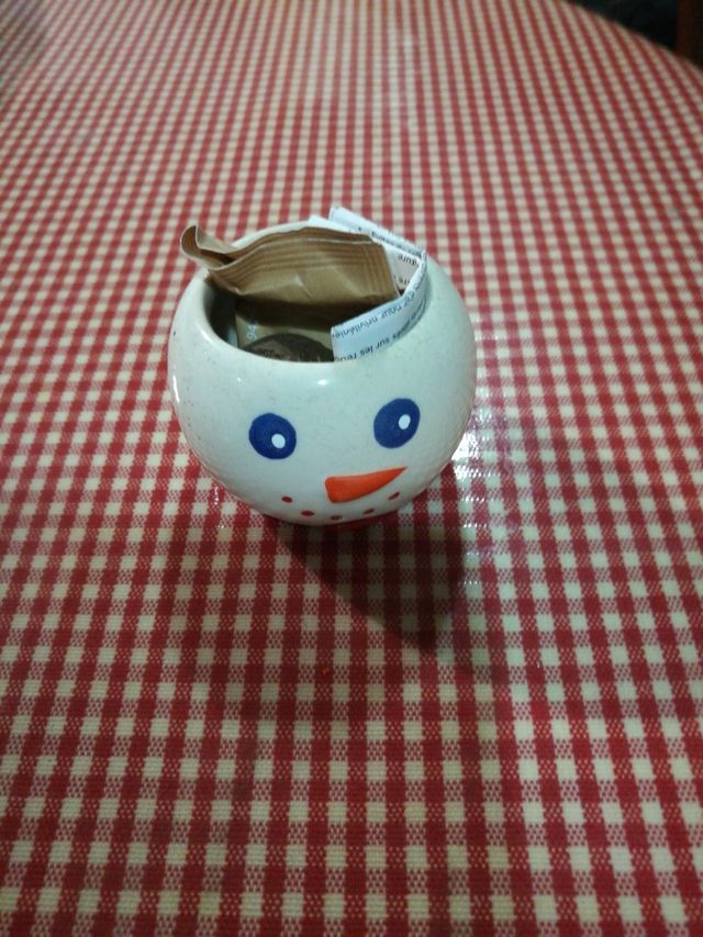 cespimuñeco con su semillas.