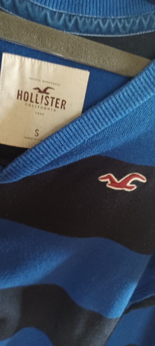 Jersey Hollister S