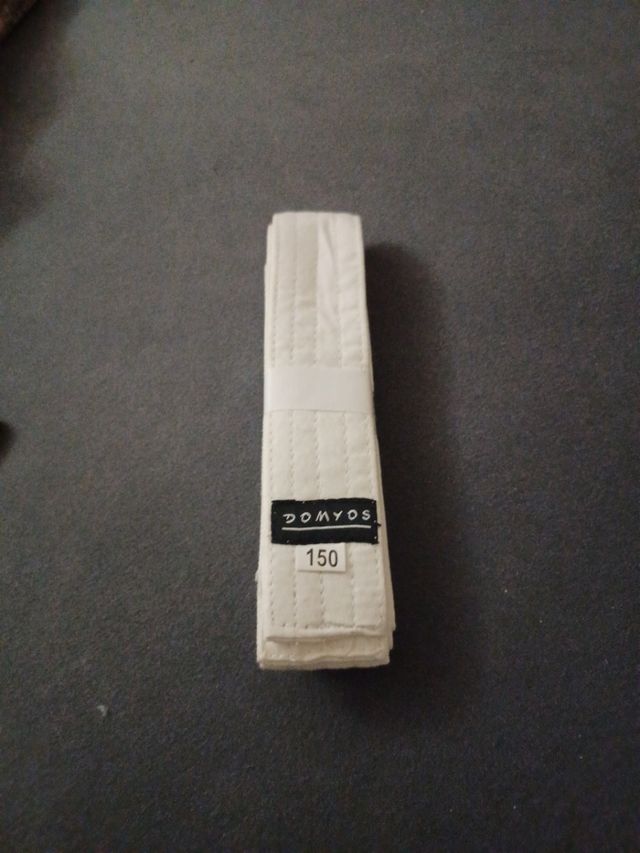 cinturon artes marciales