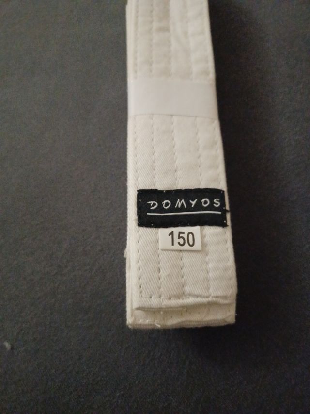 cinturon artes marciales