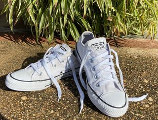 converse blancas 36.5