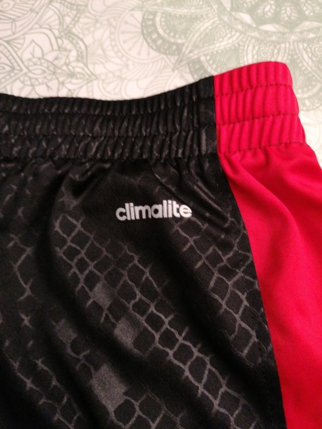 Pantalón Chicago Bulls, talla M