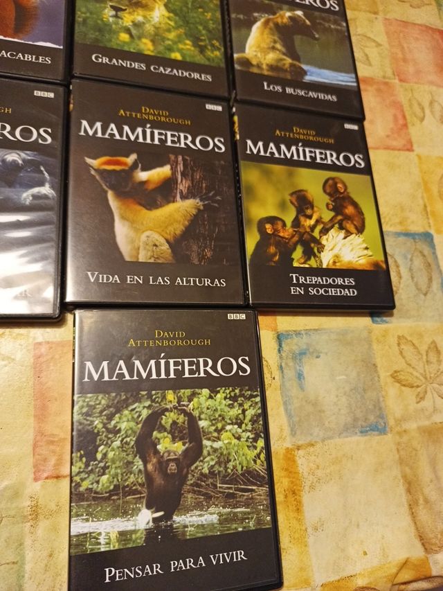 Mamíferos